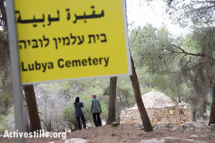 Palestinian citizens of Israel visit the remains of the village of Lubya (Activestills)