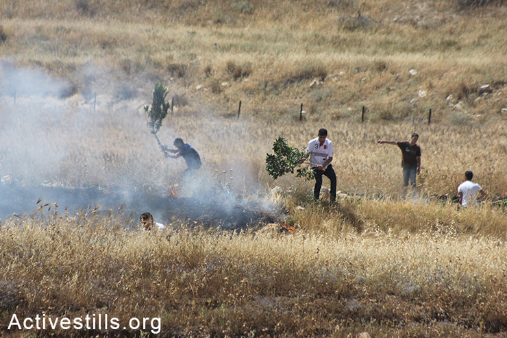 Fires broke out on Palestinian agricultural after Israeli soldiers fired gas canisters at a demonstration held in solidarity with Palestinian administrative prisoners, Huwwara checkpoint, Nablus, West Bank, May 30 ,2014. More than 120 Palestinian administrative prisoners in Israeli prisons launched a mass, open-ended hunger strike on Thursday, April 24, 2014. Israel detains the prisoners without charges, some for more than five years.
