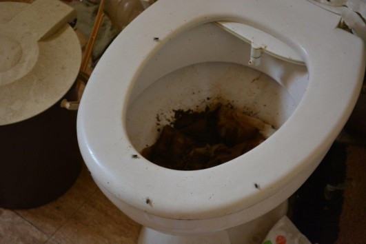 All the toilets in the house were clogged up and had not been flushed after the Palestinian home was used as a military post by Israeli soldiers during Operation Protective Edge, the Gaza Strip, August 2014. (photo: Alexandr Nabokov)