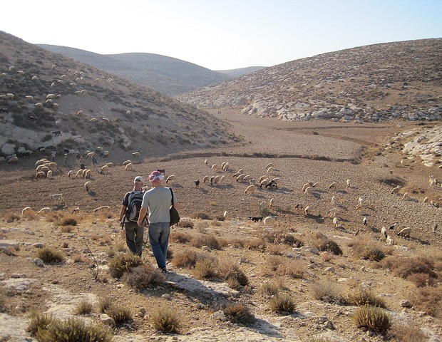 Ta'ayush Activists in the South Hebron Hills