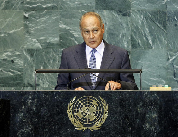 The Wild Card - part III: Egyptian FM joins the party