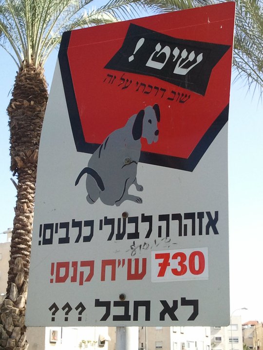 When refinement is an endangered feces in a Haifa suburb