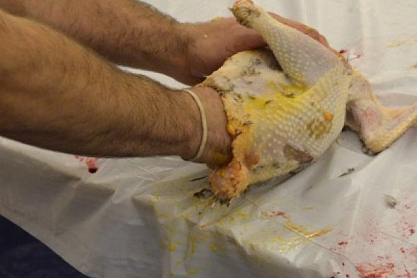 kosher thumb (Photo: News21-usa/flickr Attribution 2.0 Generic (CC BY 2.0)