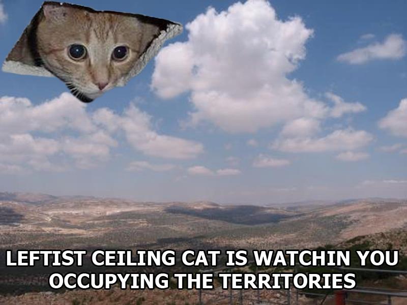Left-wing cat craze takes Israeli cyberspace by storm