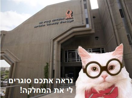 Left-wing cat craze takes Israeli cyberspace by storm