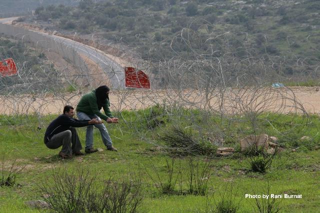 Cutting barbed wire in Bil'in (Photo: Rani Burnat)