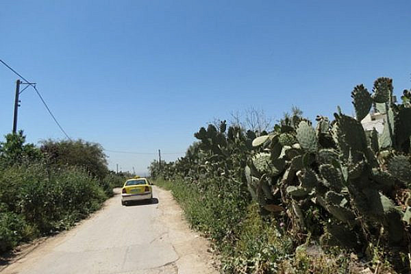 Palestinian cab (Yuval Ben-Ami)