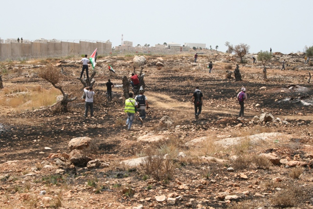 Bil'in demonstrators at lands burnt by tear gas canisters (Haggai Matar)