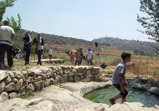 For first time, weekly Nabi Saleh protest reaches destination: its own spring