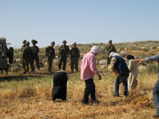 Soldiers watching Palestinian farmers during an action in South Mount Hebron (Yaniv Mazor)
