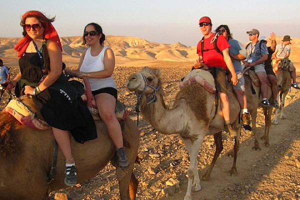 Tourists riding camels in Israel [illustrative] (photo: flickr / idovermani CC BY 2.0)