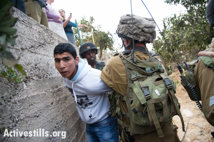 Photos: Three arrested as settlers, soldiers disrupt Hebron olive harvest