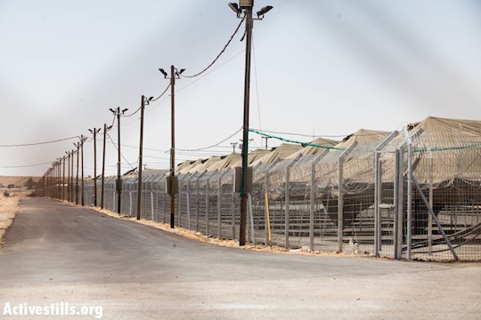Cracks in the detention regime: Refugee advocates see string of court wins   