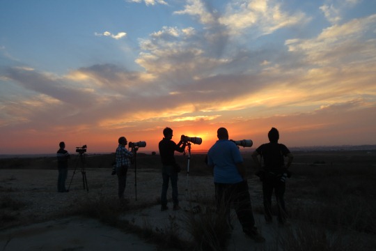 The beautiful south: An afternoon in the Gazan firing range