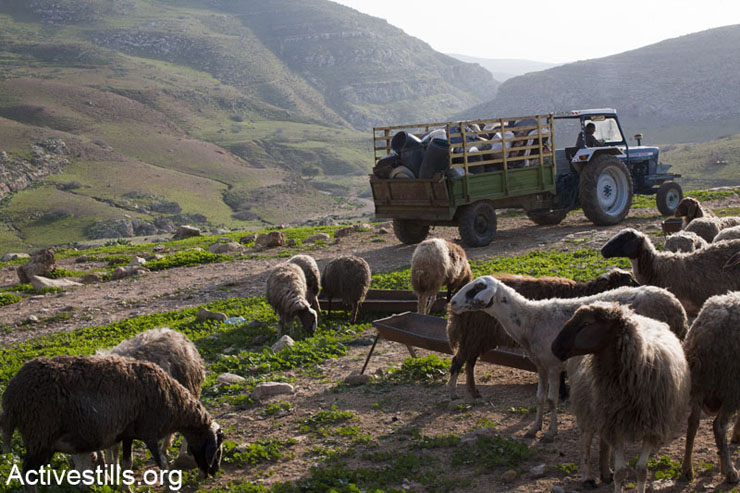 PHOTOS: Jordan Valley demolitions leave Palestinian families homeless in winter