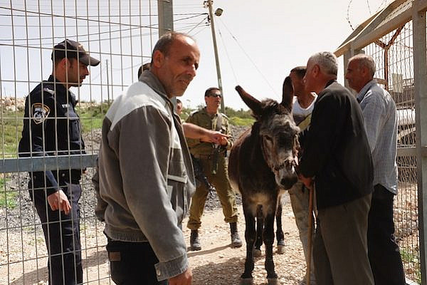 IDF soldiers and police return a donkey stolen from Palestinians by settlers in Tapuach. (Photo: Yossi Gurvitz)