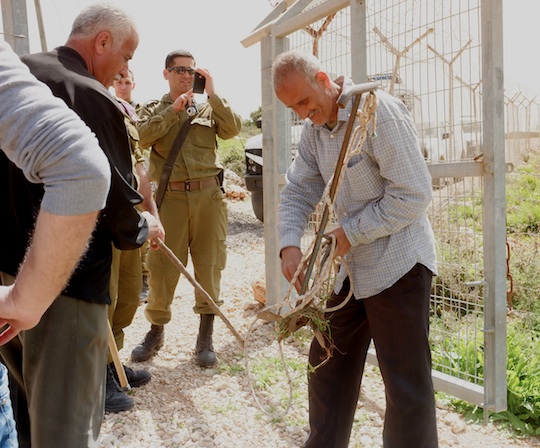 Caught red-handed: Settlers steal Palestinians' donkey