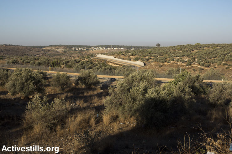 PHOTOS: Israel 'punishes' Ni'ilin activist, denies access to olive trees behind the wall
