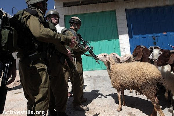 File photo of Israeli soldiers confronting Palestinian-owned sheep. (Photo: Activestills.org)