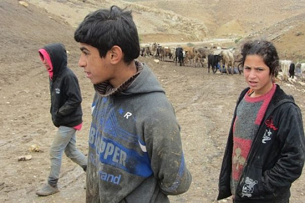 Palestinian children in Khirbat Yarze, where the IDF destroyed homes on Tuesday, December 10 2013 (Image: Attef Abu-Arub, B'tselem)