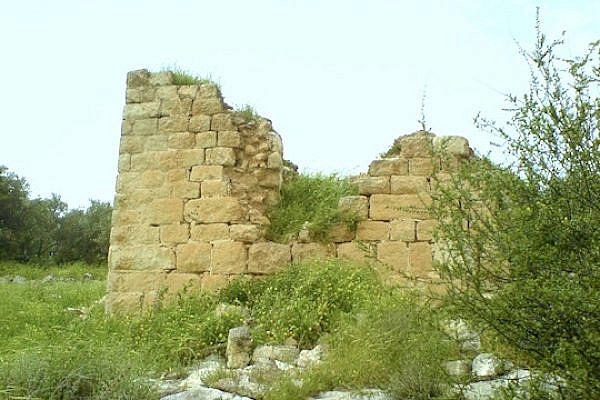 The remains of the Palestinian village Bayt Shanna, near Ramle. (photo: palestineremembered.com)