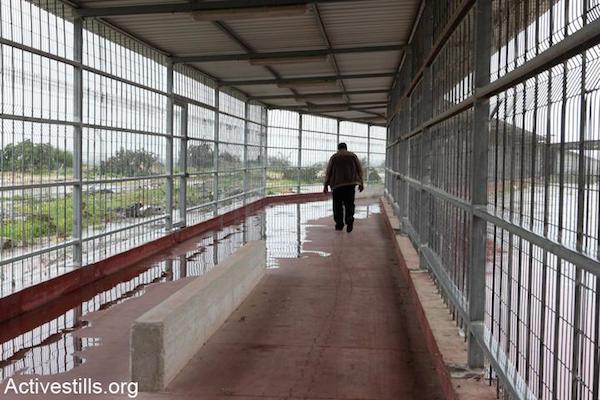 A Palestinian man from Gaza walks down an open air corridor at the Erez Crossing terminal, the northern checkpoint leading from the Gaza Strip to Israel, in the area of Beit Hanun, February 14, 2012. (Photo by Anne Paq/Activestills.org)