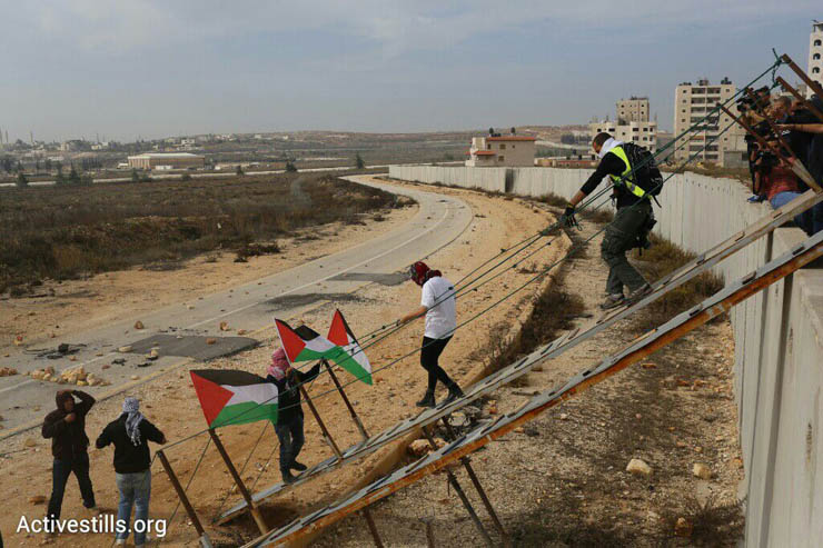 Palestinians and international activists use make-shift bridges to cross the separation wall between Qalandiya and Jerusalem, November 14, 2014. (Photo by Oren Ziv/Activestills.org)