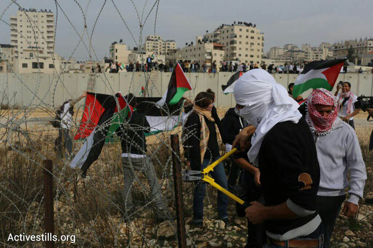 Palestinians and international activists cut razor wire after crossing the separation wall between Qalandiya and Jerusalem, November 14, 2014. (Photo by Oren Ziv/Activestills.org)