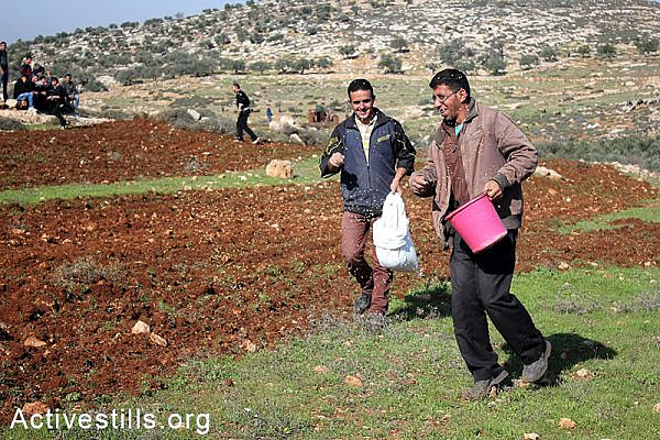 Palestinian farmers sow their lands located behind a settlers' by-bass road, at Salem village, Nablus, West Bank, December 05, 2014.  Photo by: Ahmad al-Bazz/Activestills.org