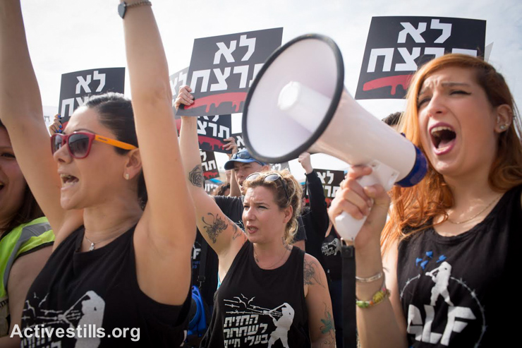 Israeli animal rights activists protest outside Hod Hefer Slaughterhouse, near the town of Hadera, demanding the closing of the facility, January 26, 2015. (photo: Activestills.org)