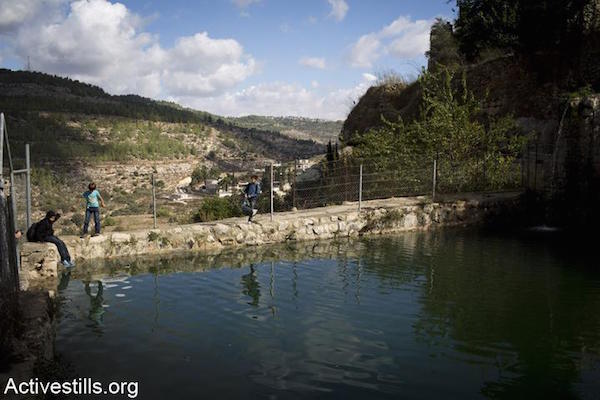 A general view of the unique environmental and agricultural system in the West Bank village of Battir, November 13, 2012. (Photo by Oren Ziv/Activestills.org)