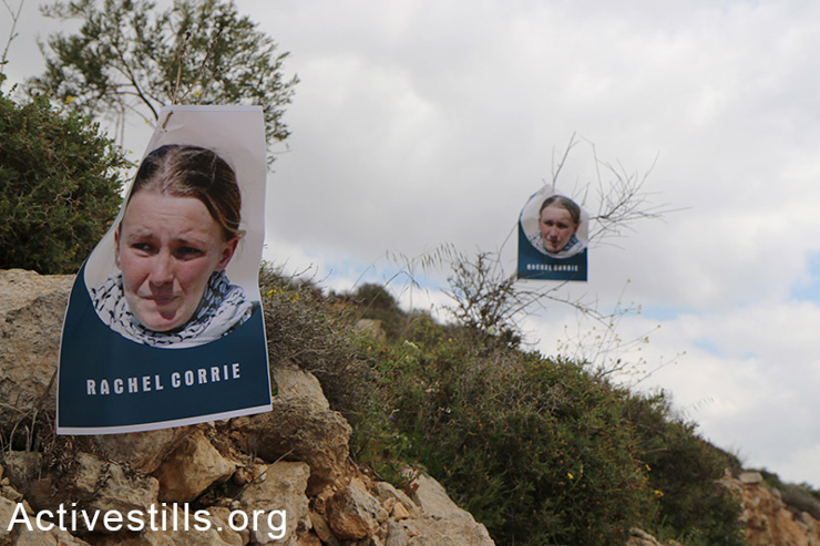 Pictures of Rachel Corrie hang on trees during an olive tree planting activity in Qaryut village to commemorate the 12 year anniversary of her death. (photo: Activestills.org)