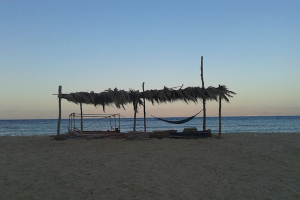 Sinai beach. (photo: Orly Noy)