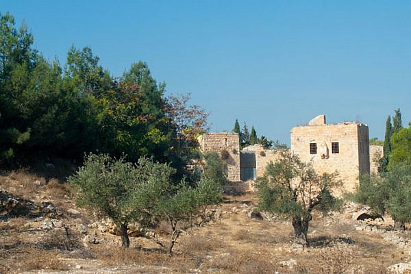 A view of olive trees and a stone home near Bethlehem. (Photo: Mariait/Shutterstock.com)