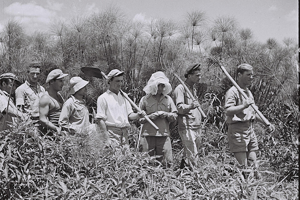 Members of Kibbutz Amir, June 30, 1940. (Zoltan Kluger/GPO)