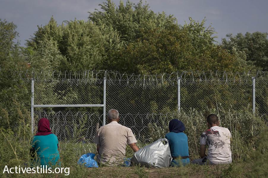Syrian refugees sit in front of the border fence between Hungary and Serbia, September 15, 2015. (photo: Oren Ziv/Activestills.org)