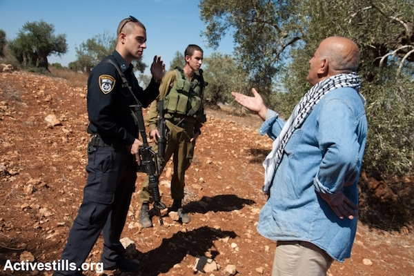 An Israeli police officer inspects damage done Palestinian-owned olive trees by suspected Israeli settlers, October 20, 2013. (File photo by Activestills.org)