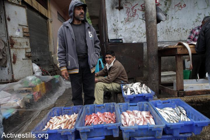 A Palestinian fisherman and his son sell their catch in the Gaza City fish market. File photo. (Anne Paq/Activestills.org)