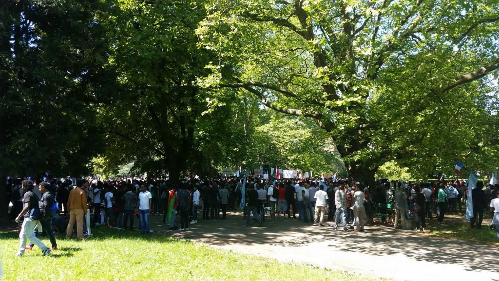 Eritreans demonstrate in support of a UN Commission of Inquiry examining human rights abuses by the Eritrean dictatorship, Geneva, July 23, 2016. (photo: Selam Kidane)