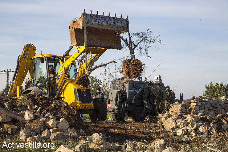 Israeli authorities uproot olive trees in order to pave a settler bypass road, Izbat Tabib, West Bank, January 16, 2017. (Keren Manor/Activestills.org)