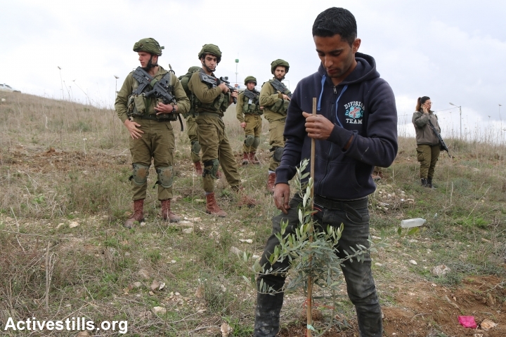 Israeli soldiers provoke Palestinian farmers and volunteers while planting olive trees and tiling soil to protest the recent Israeli military order that would confiscate about three Dunams of Palestinian private lands for 'security reasons' for the nearby settlement of Yitzhar, Asira Al-Qibliya village, near Nablus, West Bank, January 26, 2017. (Ahmad al-Bazz/Activestills.org)