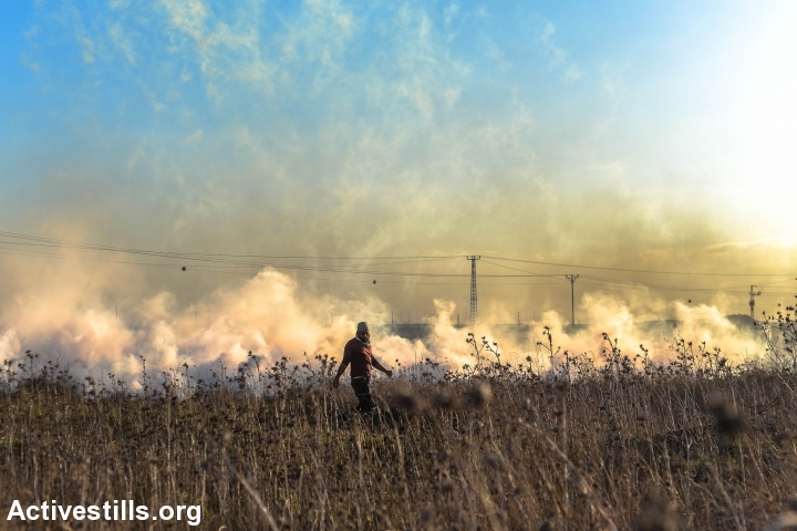 A Palestinian protester is enveloped by tear gas in the Israeli-imposed buffer zone along the Gaza-Israel border during a demonstration against Donald Trump's declaration of Jerusalem as Israel's capital, December 8, 2017. (Ezz Zanoun/Activestills.org)