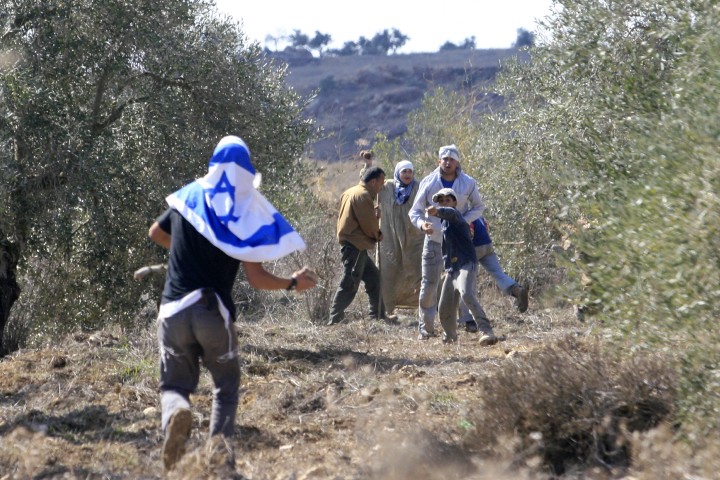 Illustrative photo of an Israeli settler attacking a group of Palestinian olive harvesters. (Olivier Fitoussi/Flash90)