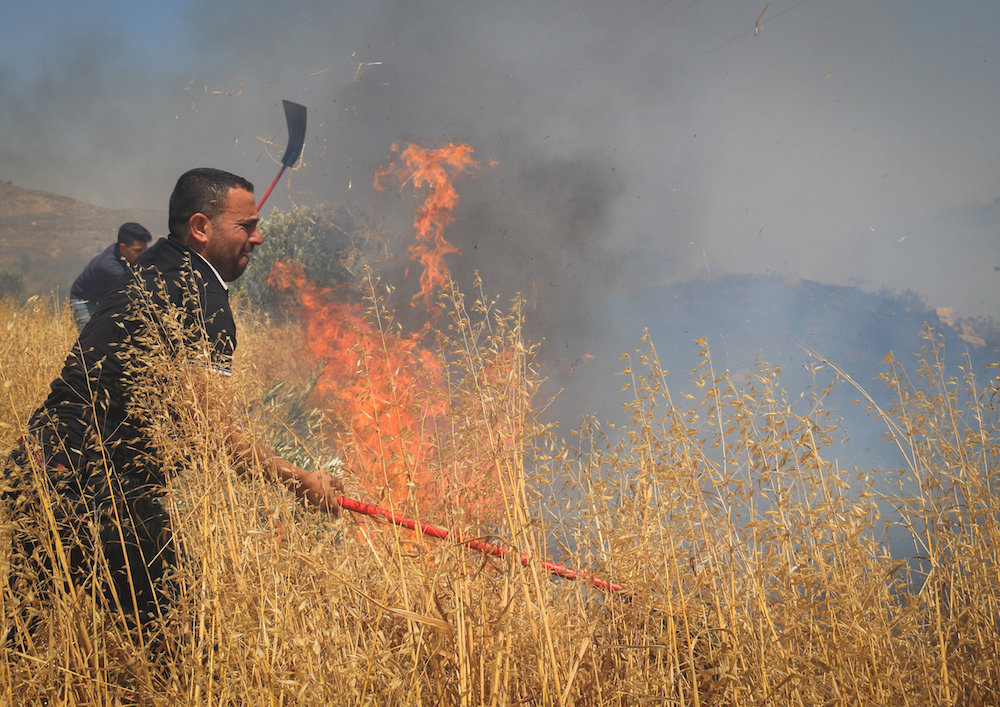 Palestinians try to extinguish a fire at a wheat field in the village of Salem, east of Nablus, in the West Bank, June 23, 2018. (Haytham Shtayeh/Flash90)