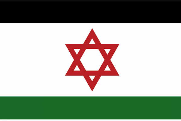 Israel-Palestine flag (Oren neu dag)