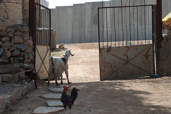 The Jadu family's yard, 2005. One morning, the separation barrier was erected in their backyard. (Sarit Michaeli)
