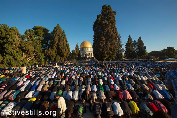Palestinian Muslim worshipers pray at the al-Aqsa Mosque compound in Jerusalem’s old city on the first day of Eid al-Adha (Feast of the Sacrifice) marking the end of the hajj and commemorating Abraham's willingness to sacrifice his son Ismail on God's command, on October 4, 2014. (Activestills.org)