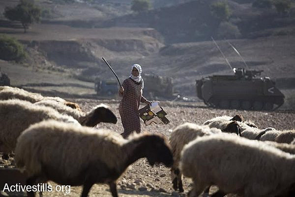 A Palestinian shepherd herds her sheep, behind her is parked an IDF armored personnel carrier, Jordan Valley, West Bank, December 8, 2016. (Keren Manor/Activestills.org)