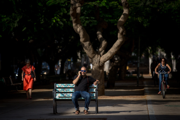 An Israeli man sits on a bench on Rothschild Avenue, Tel Aviv, October 13, 2016. (Miriam Alster/FLASH90)