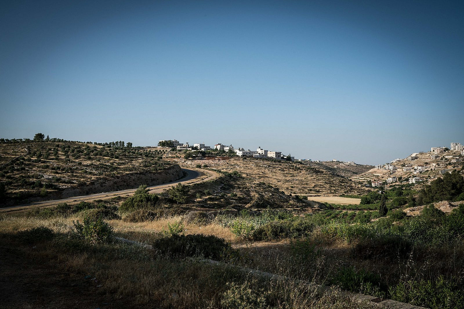 Land around the Israeli settlement of Efrat in the occupied West Bank. June, 2020. (Samar Hazboun)
